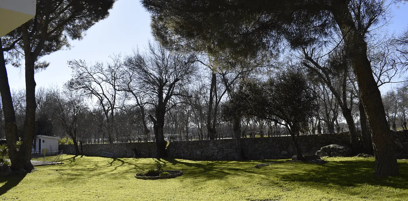 Talleres psicoeducativos y actividades al aire libre en la Sierra de Madrid